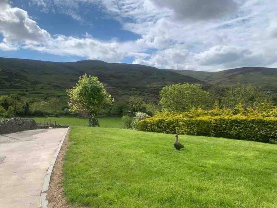 Вилла Mountain House Omeath Near Carlingford O Meith Экстерьер фото
