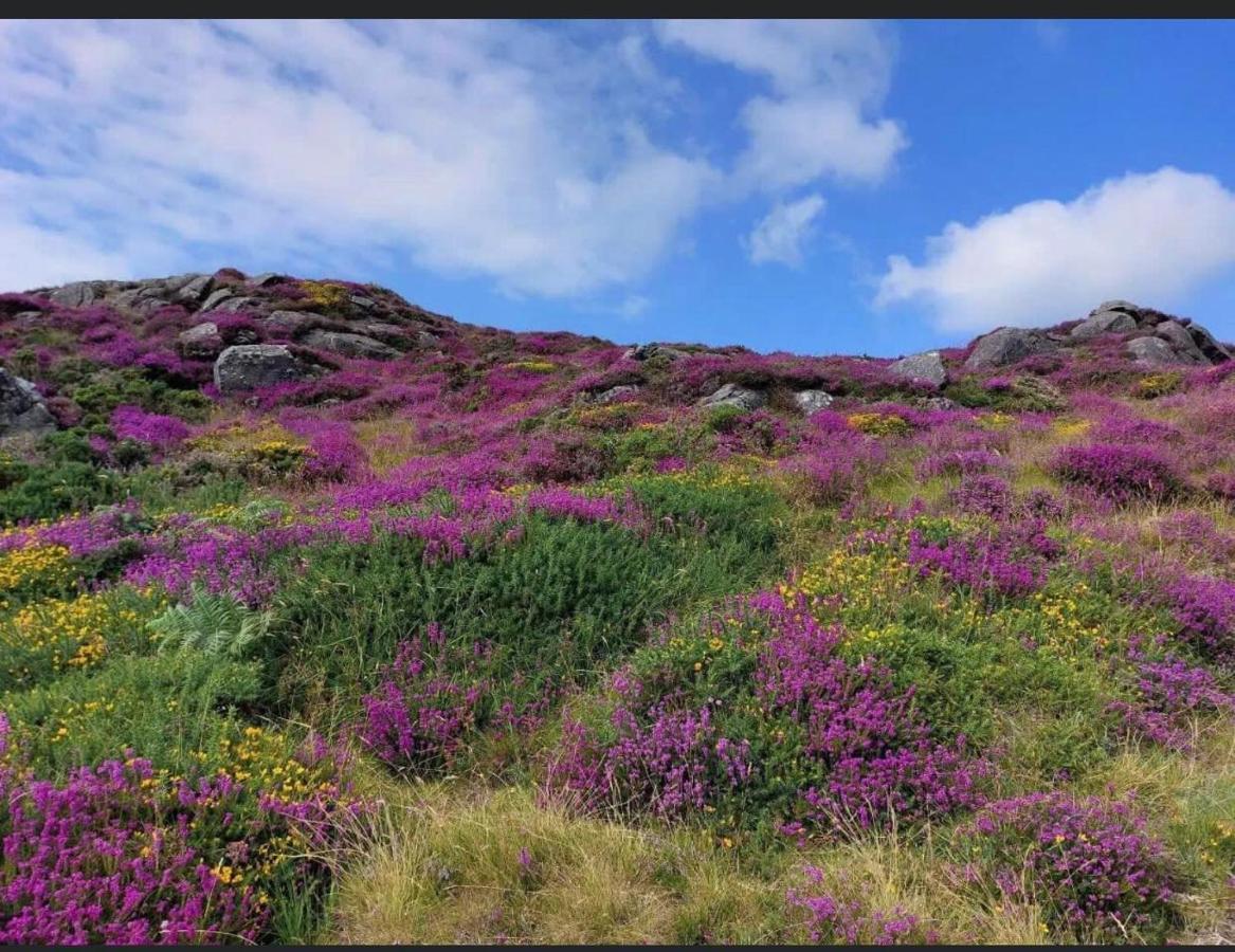 Вилла Mountain House Omeath Near Carlingford O Meith Экстерьер фото