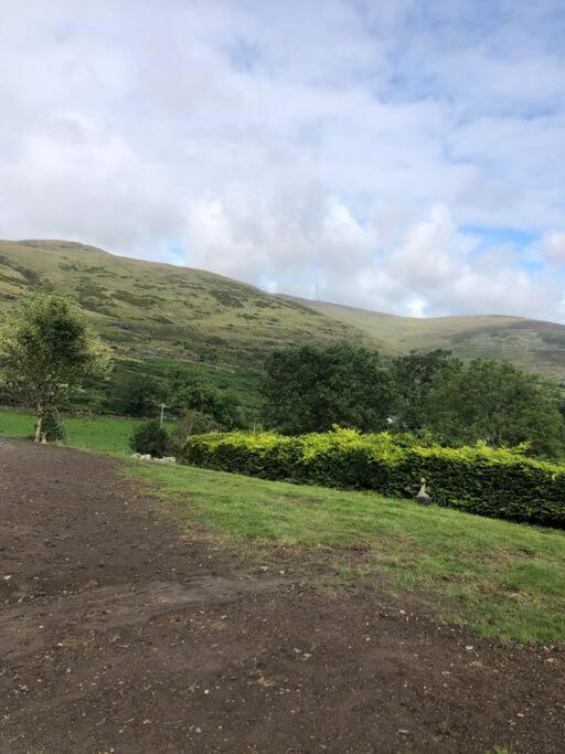 Вилла Mountain House Omeath Near Carlingford O Meith Экстерьер фото